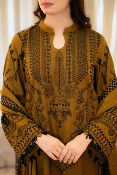 Winter 3 Piece Embroidered Dhanak dress with Heavy Embroidered Dhanak Shawll WC1110