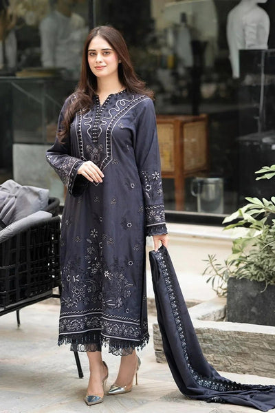 Libass Winter 3 Piece Dhanak Embroidered Suit WC1203