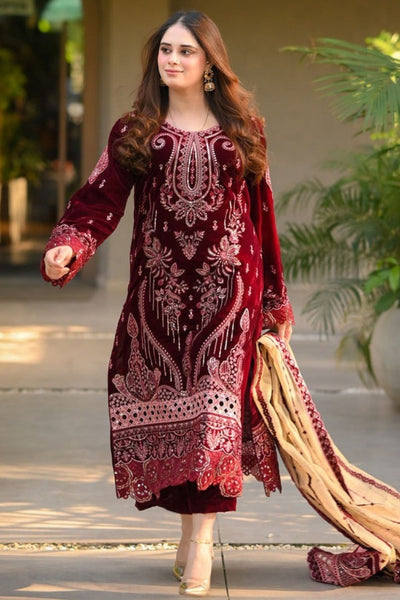 Velvet Embroidered Dress With Organza embroidered Dopata and Silk Trouser WC1240