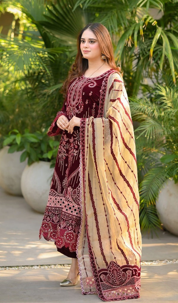 Velvet Embroidered Dress With Organza embroidered Dopata and Silk Trouser WC1240